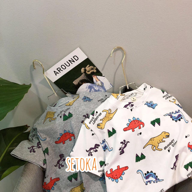 130cm 恐竜 ザウルス ダイナソー Tシャツ グレー 韓国子供服の通販 By せとか ラクマ 130cm 恐竜 ザウルス ダイナソー Tシャツ グレー 韓国子供服の通販 By せとか ラクマ