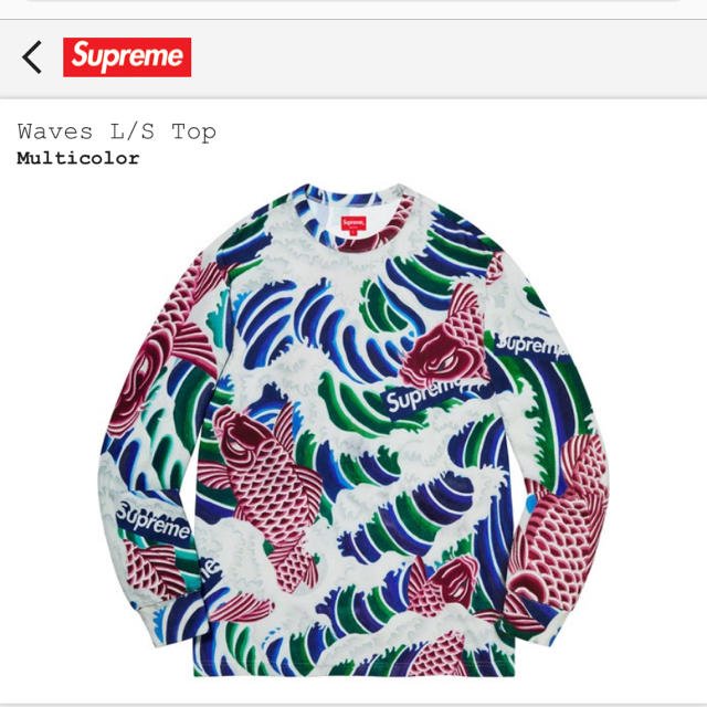 Supreme(シュプリーム)のWaves L/S Top M 長袖 ロンT シュプリーム 鯉 メンズのトップス(Tシャツ/カットソー(七分/長袖))の商品写真