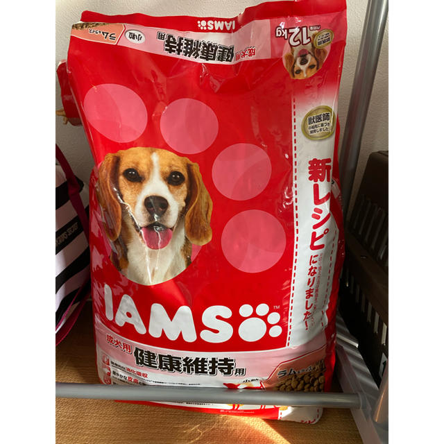 アイムス(IAMS)ドッグフード12kg 成犬用健康維持　ラム＆ライス その他のペット用品(ペットフード)の商品写真