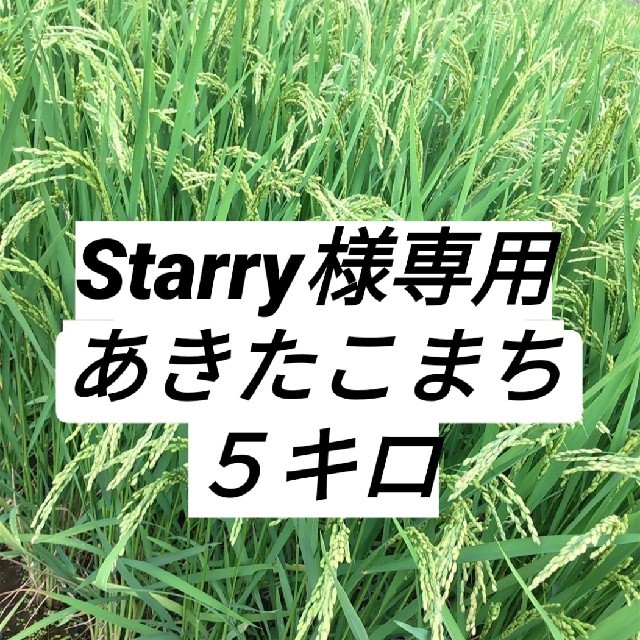 starry様専用 あきたこまち５キロ 食品/飲料/酒の食品(米/穀物)の商品写真