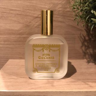 サンタマリアノヴェッラ(Santa Maria Novella)のSanta Maria novella 香水100ml(香水(女性用))