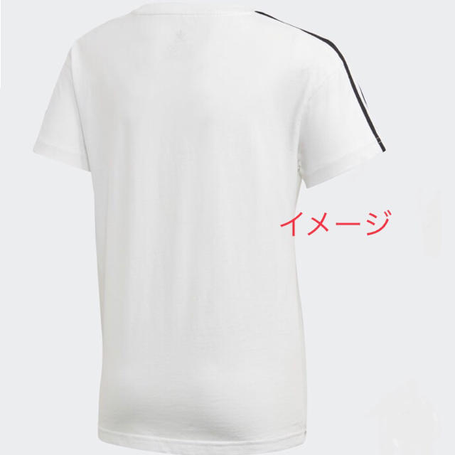 adidas(アディダス)のadidas Tシャツ 白 TREFOIL 新品 メンズ レディース Mサイズ メンズのトップス(Tシャツ/カットソー(半袖/袖なし))の商品写真
