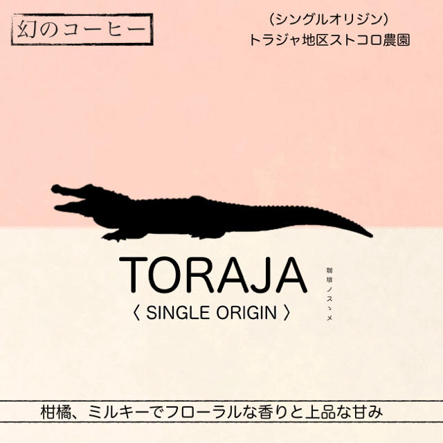 TORAJA 100%（200g）焙煎コーヒー豆 食品/飲料/酒の飲料(コーヒー)の商品写真