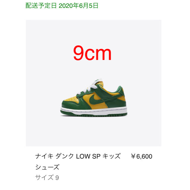 9cm NIKE DUNK LOW SP TD キッズ　 ダンク BRAZIL