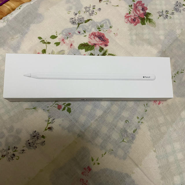 Apple Pencil 第2世代 アップル ペンシル インターネット通販 4500円