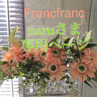 フランフラン(Francfranc)のnaruさま専用ページ❣️(その他)