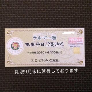 エコナック 株主優待 テルマー湯 在庫複数あります 期限9月末(その他)