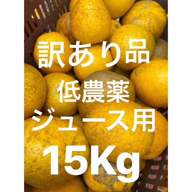 訳あり品　ミカン　小玉　低農薬　宇和ゴールド15Kg   河内晩柑　ジュース用 食品/飲料/酒の食品(フルーツ)の商品写真