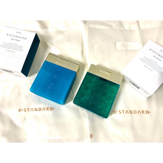 E STANDARD SCALP シャンプー&トリートメント　250ml