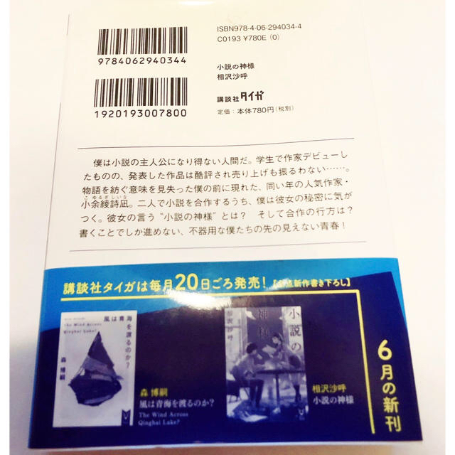 講談社(コウダンシャ)の【専用】「小説の神様」相沢沙呼　講談社タイガ　文庫【即購入OK】 エンタメ/ホビーの本(文学/小説)の商品写真