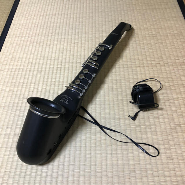 CASIO(カシオ)のCASIO デジタルホーン　DHｰ500 楽器の管楽器(サックス)の商品写真