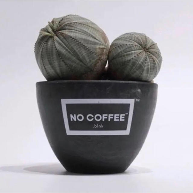 オンラインストアアウトレット No Coffee Botanize Blnk Plastic Pot 鉢 オンラインストア安い インテリア 住まい 日用品 インテリア小物 Municieneguilla Gob Pe