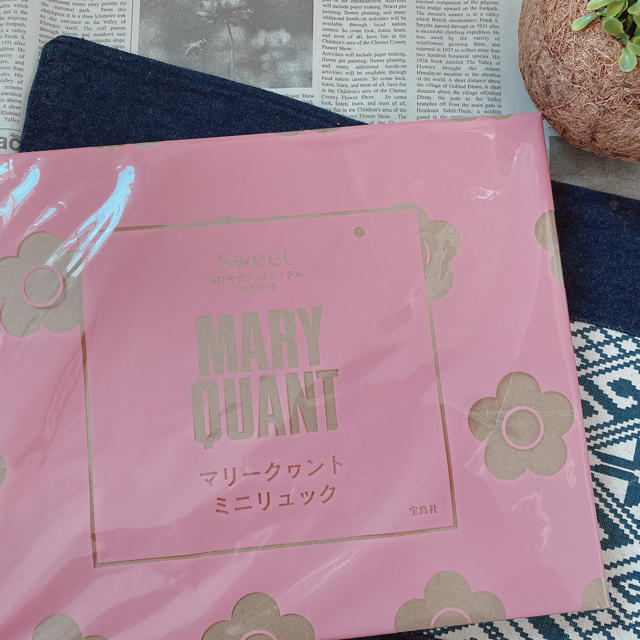 MARY QUANT(マリークワント)のMARY QUANT ミニリュック レディースのバッグ(リュック/バックパック)の商品写真