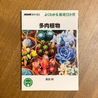 NHK趣味の園芸 多肉植物(趣味/スポーツ/実用)