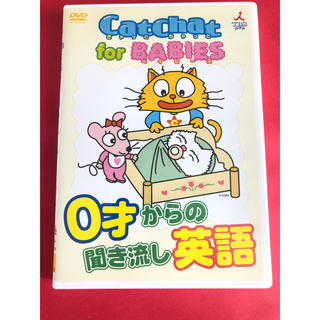 CatChat　for　BABIES DVD(キッズ/ファミリー)