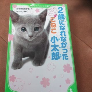 ２歳になれなかったこねこ小太郎 ねこたちからのメッセ－ジ(絵本/児童書)