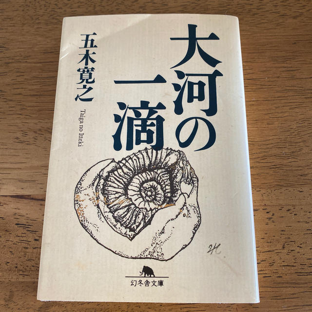 大河の一滴 エンタメ/ホビーの本(文学/小説)の商品写真