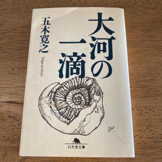 大河の一滴(文学/小説)