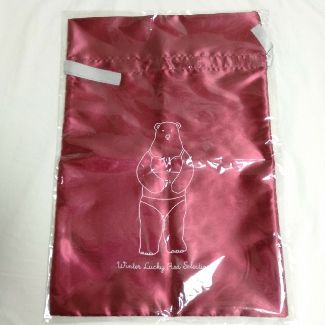 Wacoal(ワコール)のWing 巾着袋 レディースの下着/アンダーウェア(その他)の商品写真