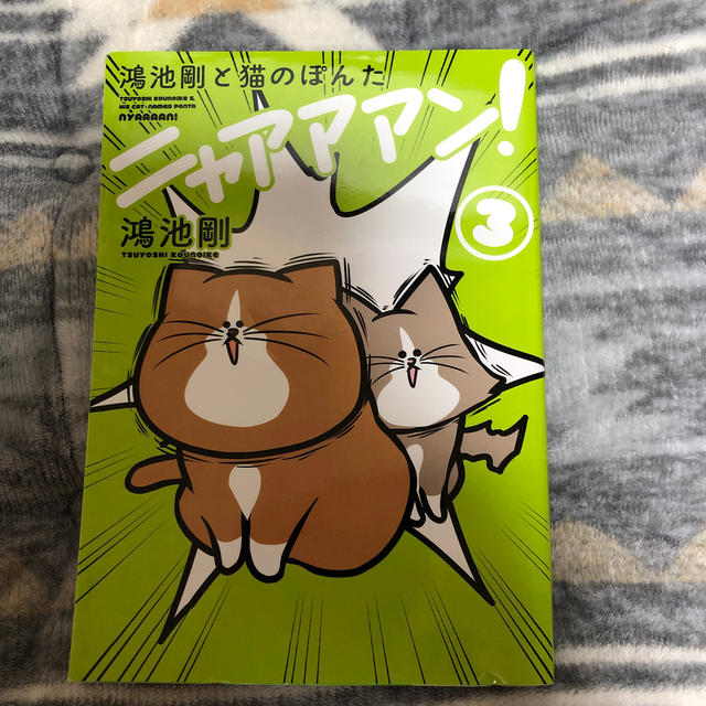 角川書店(カドカワショテン)の鴻池剛と猫のぽんた　ニャアアアン！ ３ エンタメ/ホビーの本(文学/小説)の商品写真