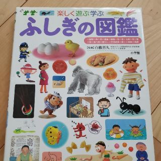 ショウガクカン(小学館)のふしぎの図鑑 楽しく遊ぶ学ぶ(絵本/児童書)