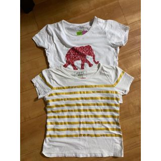 Tシャツ(Tシャツ/カットソー)