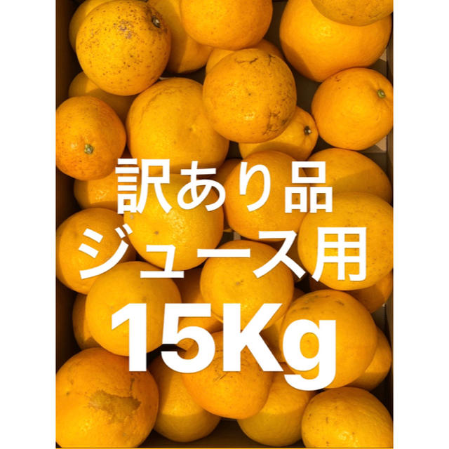 訳あり品　愛媛　宇和ゴールド15Kg   河内晩柑　ジュース用 食品/飲料/酒の食品(フルーツ)の商品写真