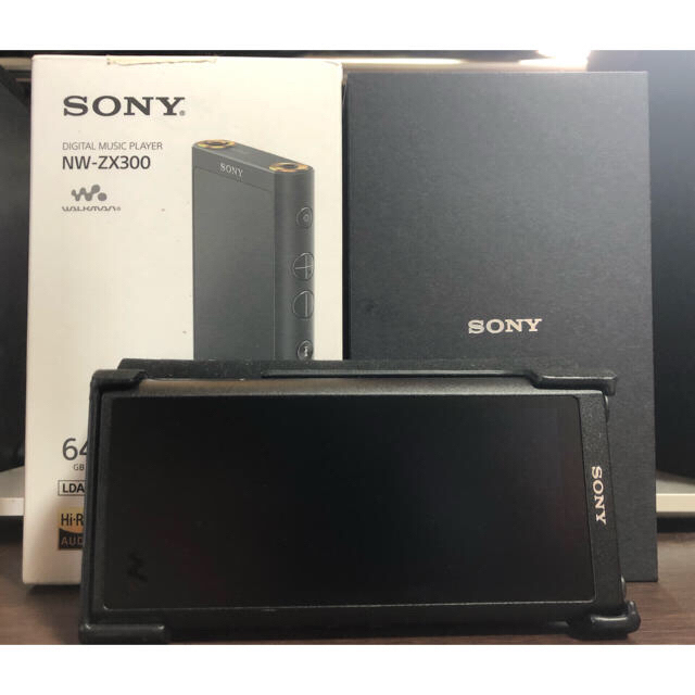 SONY nw zx 300