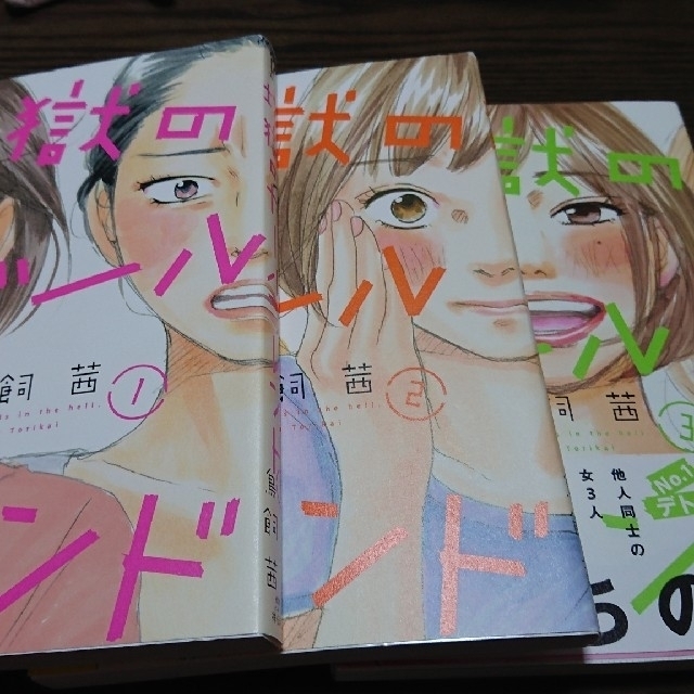 tomo様専用 地獄のガ－ルフレンド   おんなのいえ 全巻セット 鳥飼茜 エンタメ/ホビーの漫画(女性漫画)の商品写真