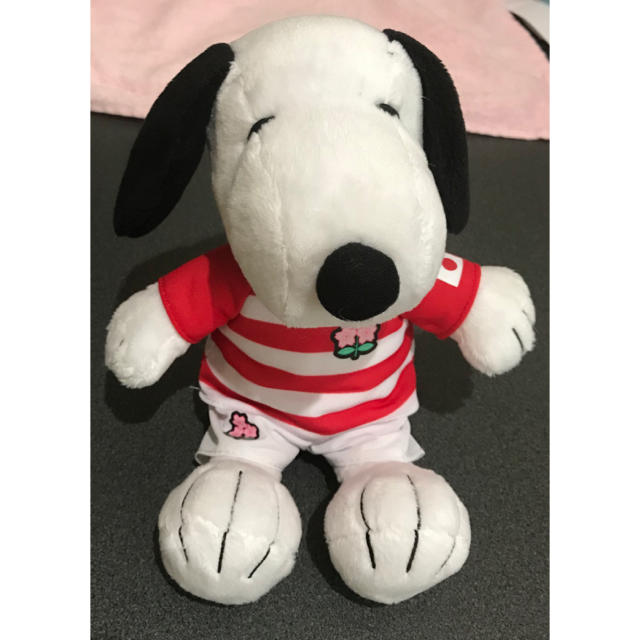 SNOOPY(スヌーピー)のSNOOPYセット　スヌーピー　ハンカチ　ぬいぐるみ（これ以上は値下げ不可） エンタメ/ホビーのおもちゃ/ぬいぐるみ(キャラクターグッズ)の商品写真