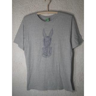 アンチヒーロー(ANTIHERO)の6469　レア　ANTI HERO　ホンジュラス製　ビンテージ　tシャツ(Tシャツ/カットソー(半袖/袖なし))