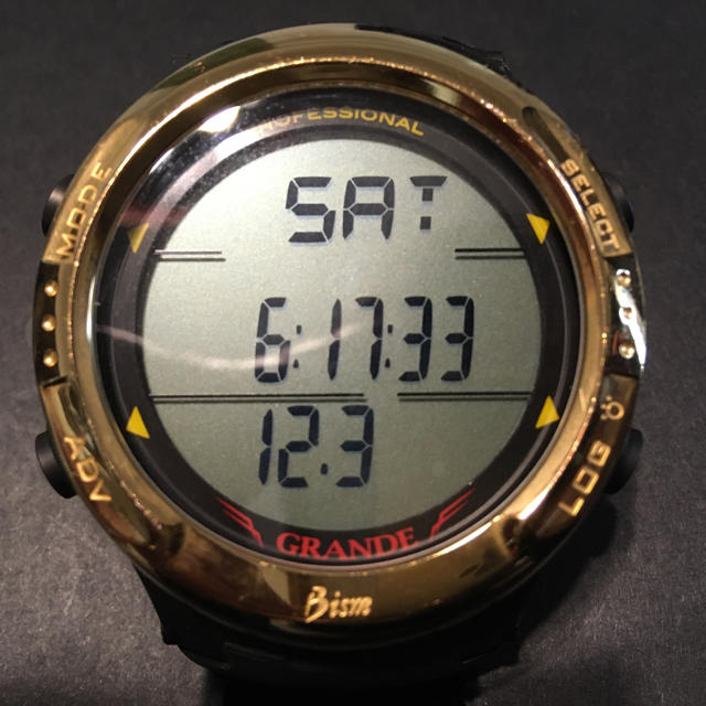 Bism Dive GRANDE ダイブコンピューター GOLD ダイビング-