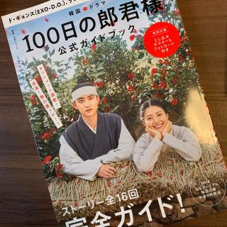 エクソ(EXO)のEXO D.O. ギョンス 100日の郎君様 ガイドブック(アート/エンタメ)