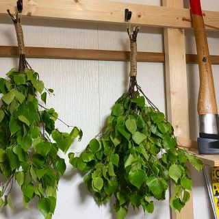 北海道の天然白樺のフレッシュヴィヒタ　Vihta(その他)