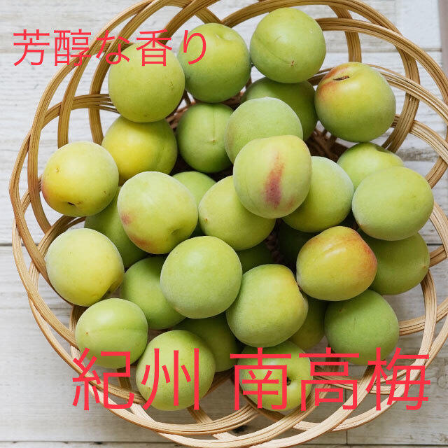 riku3180様 専用♡南高梅３kg 食品/飲料/酒の食品(フルーツ)の商品写真