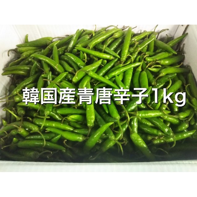 韓国産 青唐辛子 1kgの通販 by タネパパ's shop|ラクマ 韓国産 青唐辛子 1kgの通販 by タネパパ's shop|ラクマ