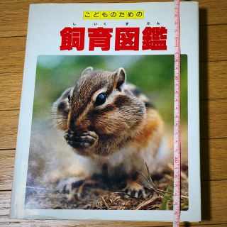 こどものための飼育図鑑(絵本/児童書)