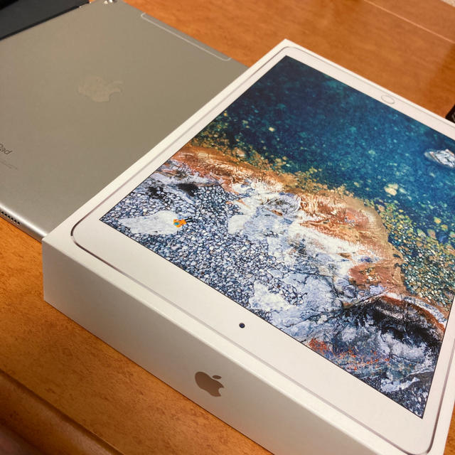 iPad Pro Wi-Fi Cellular SIMフリー 10.5 64gb-