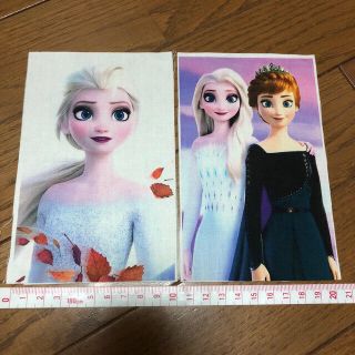 アナトユキノジョオウ(アナと雪の女王)のアナ雪　レア生地4枚セット　rereriri様ご専用(生地/糸)