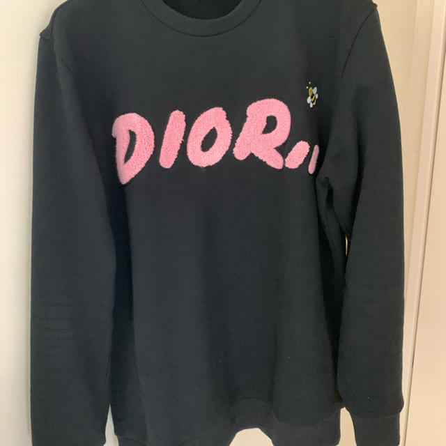 DIOR bee