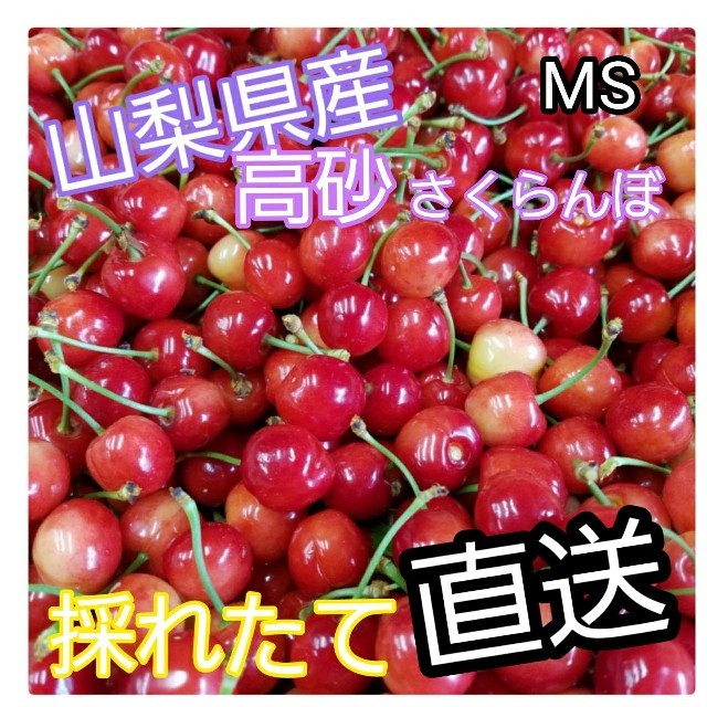 山梨県産🍒さくらんぼ🍒 食品/飲料/酒の食品(フルーツ)の商品写真