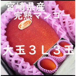 完熟マンゴー 宮崎産 日本一 安い 3L 3玉 大玉 ギフト 市場直送  化粧箱(フルーツ)