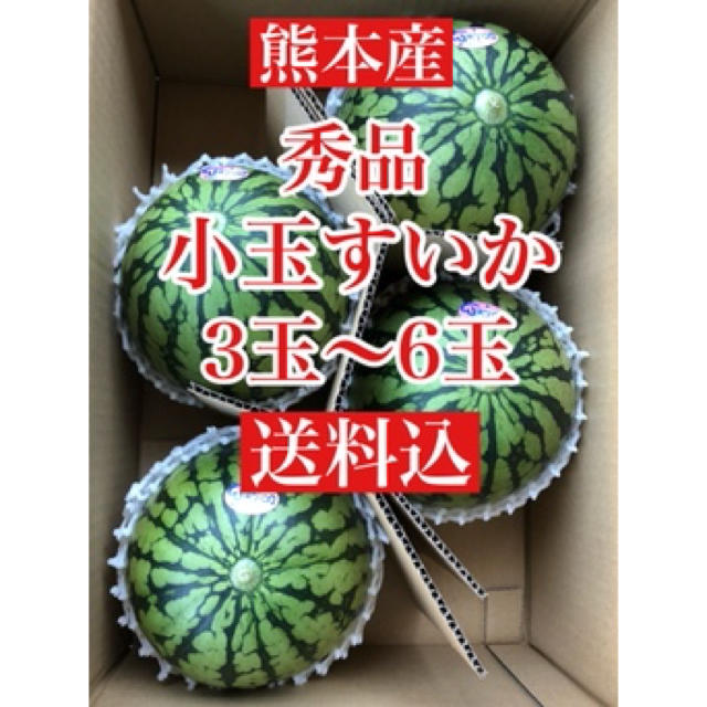 熊本産  秀品 小玉スイカ  3〜6玉入り 送料込 食品/飲料/酒の食品(フルーツ)の商品写真