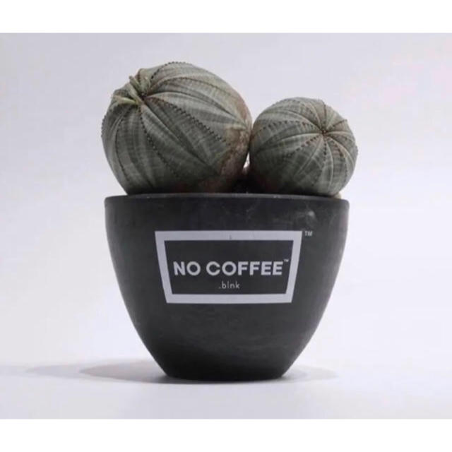 NO COFFEE BOTANIZE  .blnk plastic pot 鉢 インテリア/住まい/日用品のインテリア小物(花瓶)の商品写真