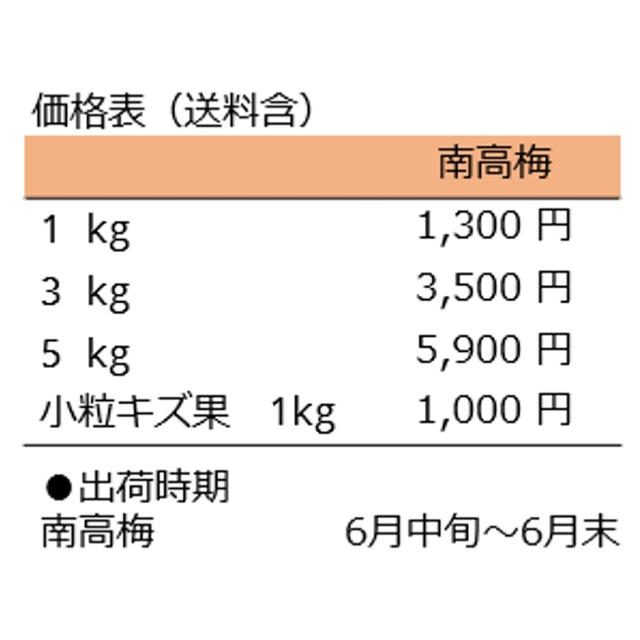 【南高梅キズあり1kg】hito✴︎様専用ページ 食品/飲料/酒の食品(フルーツ)の商品写真