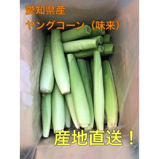 ヤングコーン　2kg  30本ぐらい(野菜)