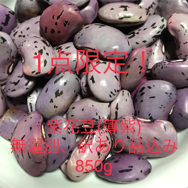 紫花豆(薄紫)無選別　訳あり品込み　850g 食品/飲料/酒の食品(その他)の商品写真