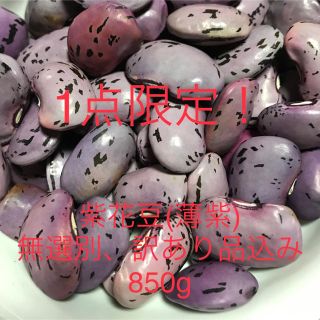 紫花豆(薄紫)無選別　訳あり品込み　850g(その他)