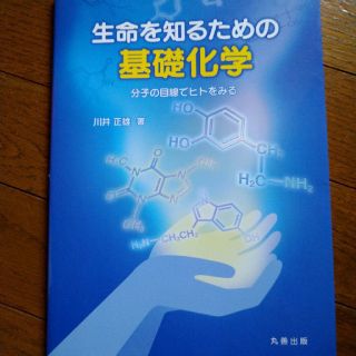 生命を知るための基礎化学 分子の目線でヒトをみる(科学/技術)