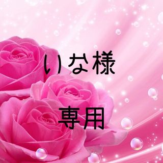 いな様専用  お米 令和元年 愛媛県産あきたこまち 玄米 30kg(米/穀物)